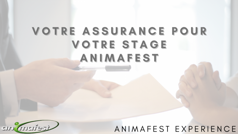 Votre assurance pour votre stage Animafest