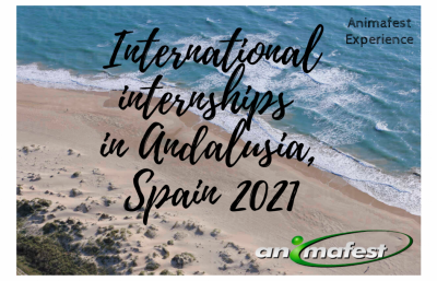 International internships in Andalusia, Spain 2021