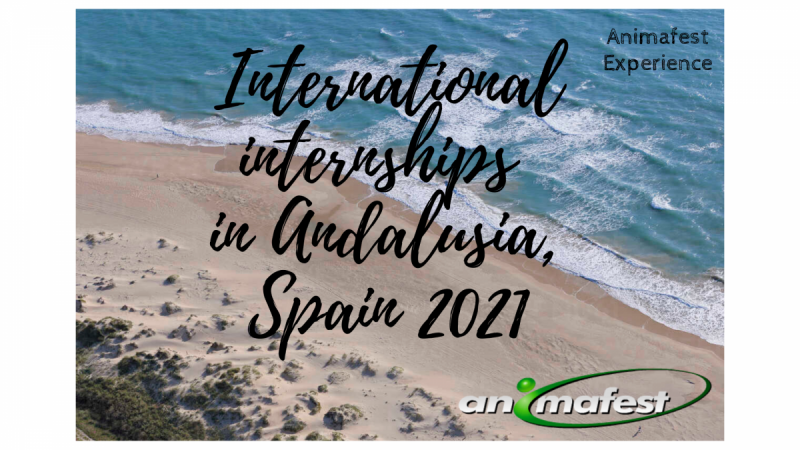 International internships in Andalusia, Spain 2021