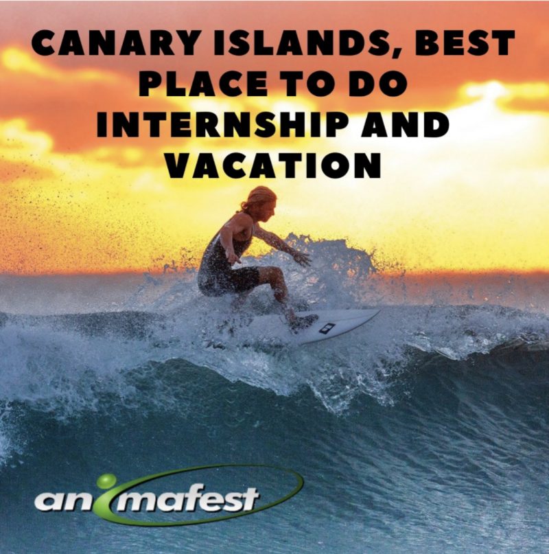 Canary Islands: Internship and Vacation