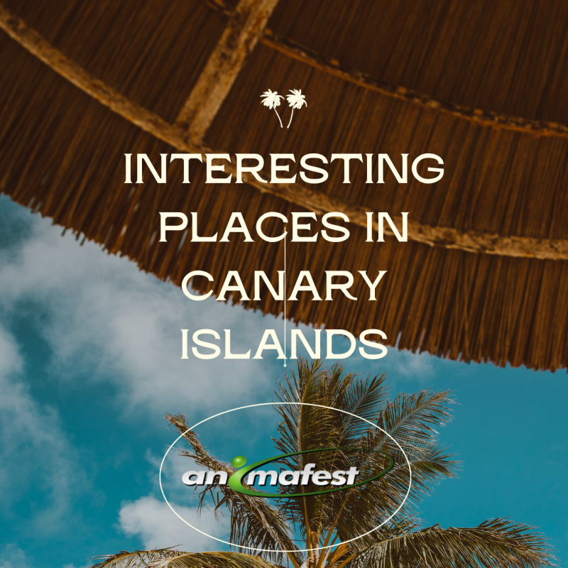 Interesting Places in Canary Islands in 2024