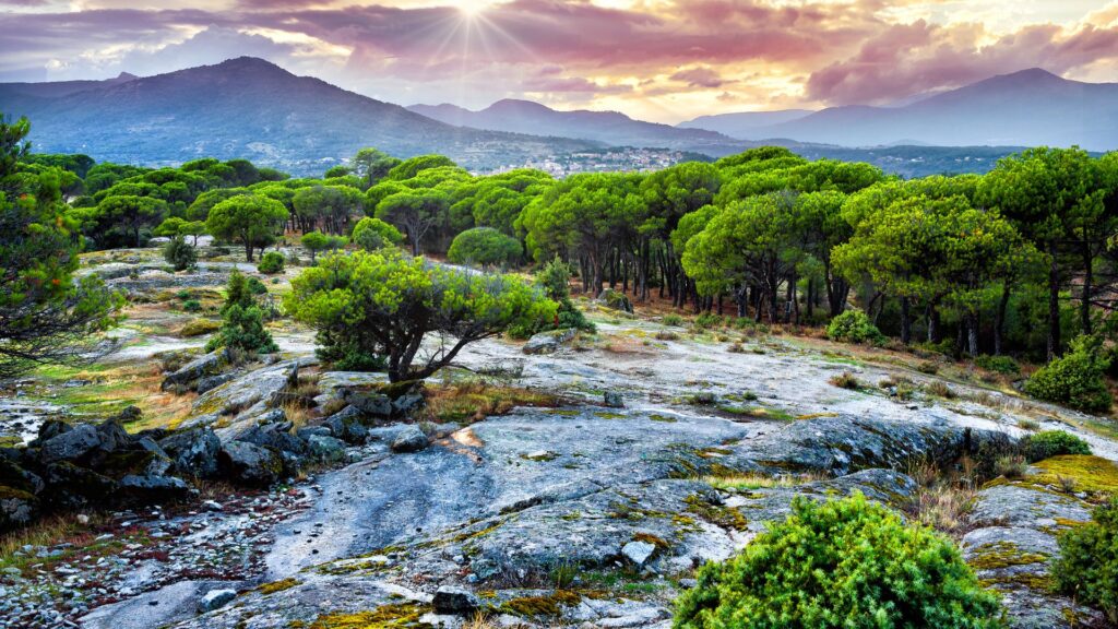 The Sierra de Gredos