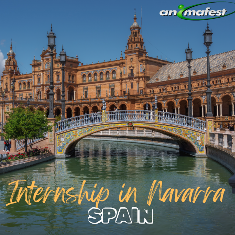 Internship in Navarra Spain