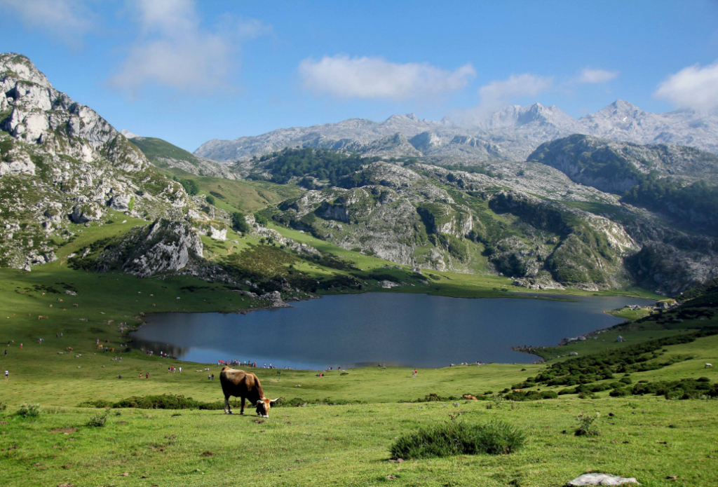 Asturias: A Gem of Northern Spain and place for your internship